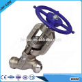 Forged steel pvc globe valve